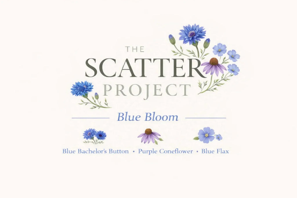 Blue Bloom — Wildflower Scatter Pack