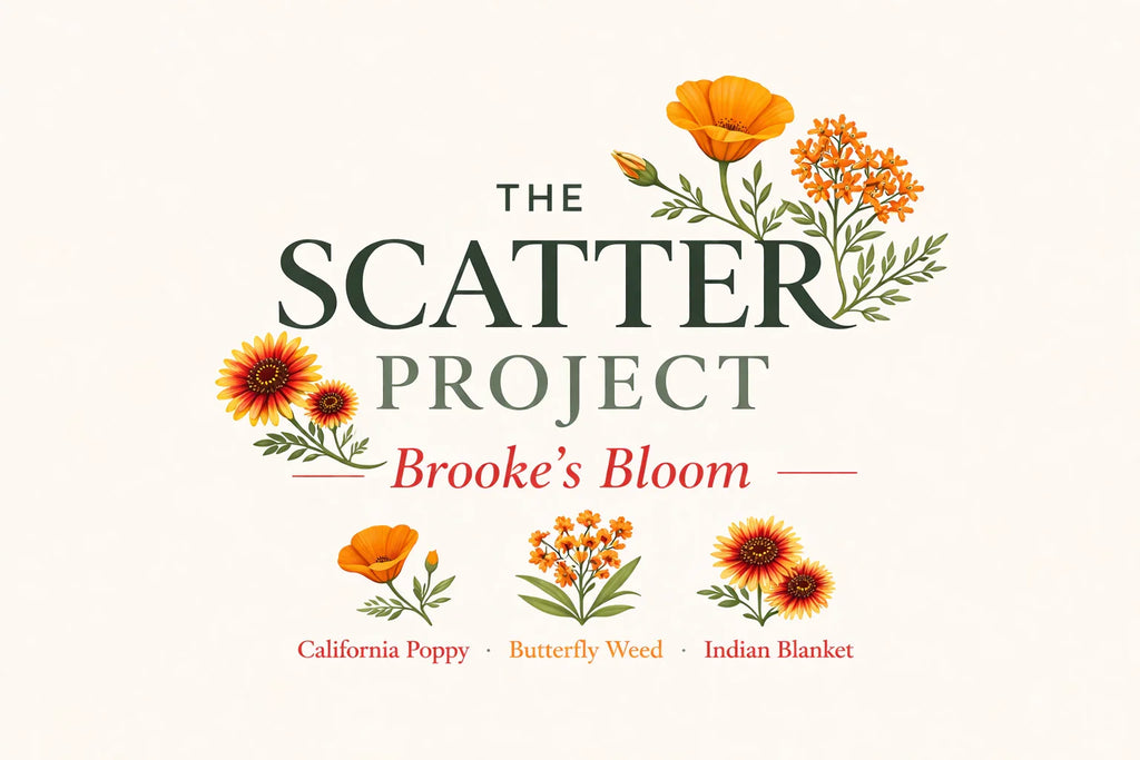 Brooke's Bloom — Wildflower Scatter Pack