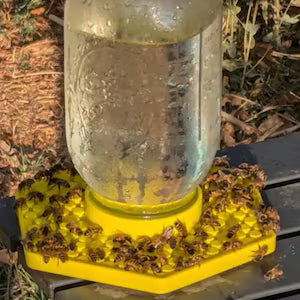 The Bee Bar | Pollinator Watering Station